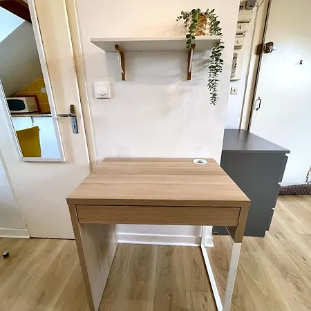 Apartment Cosy Studio,mutualiste,belle Electrique Grenoble