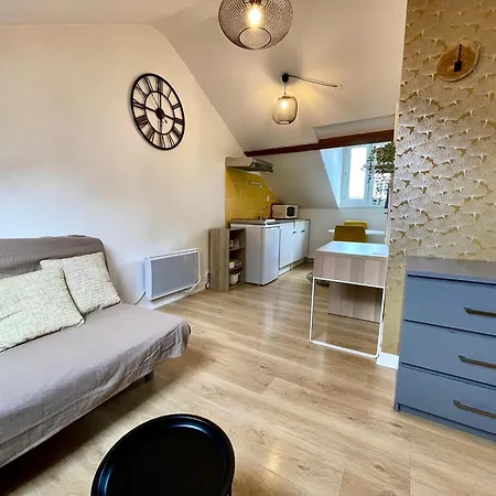 Cosy Studio,mutualiste,belle Electrique * Grenoble