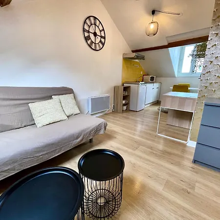 Cosy Studio,mutualiste,belle Electrique * Grenoble